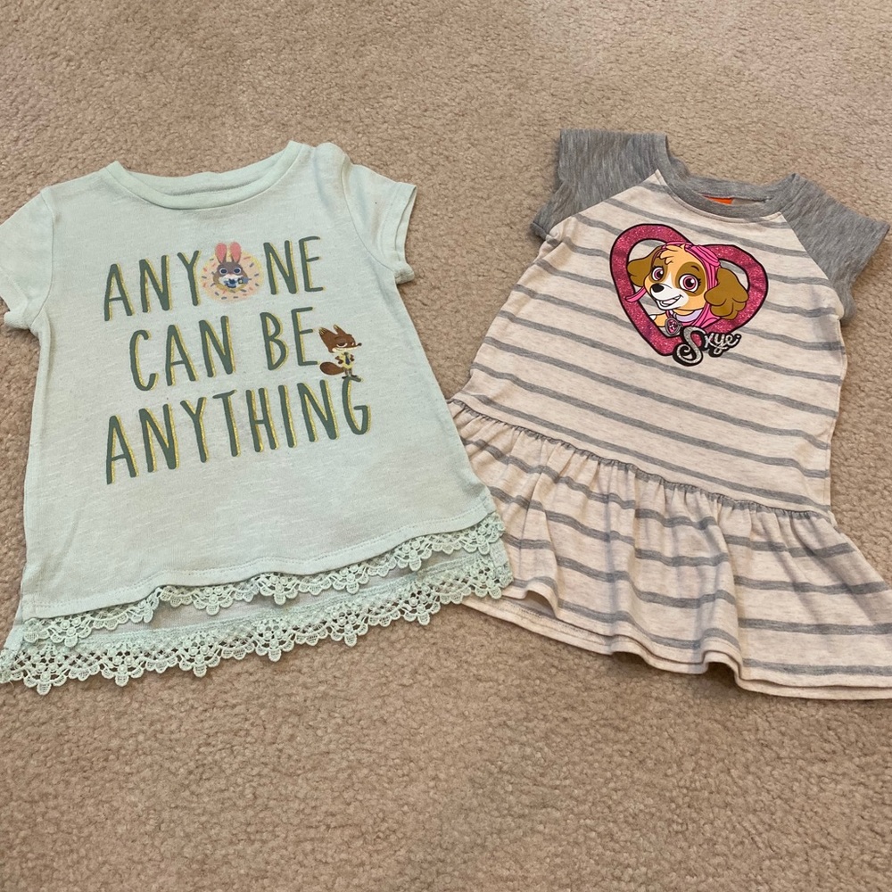 Zootopia and Paw Patrol Skye tops fits size 4T